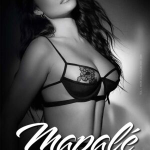 Catalogue Papier Mapalé Volume 1 2024 Dimensions Sans Prix Affiché