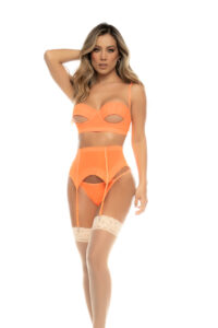 Sasha Trois Pièces Ensemble en Résille Colorée Sexy et Audacieux – Image 3